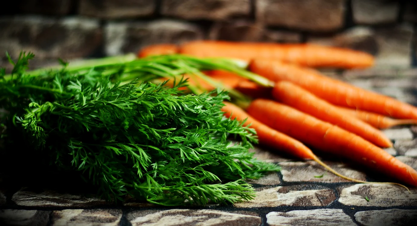 Morcovii murați sunt buni cu orice / foto: Pixabay