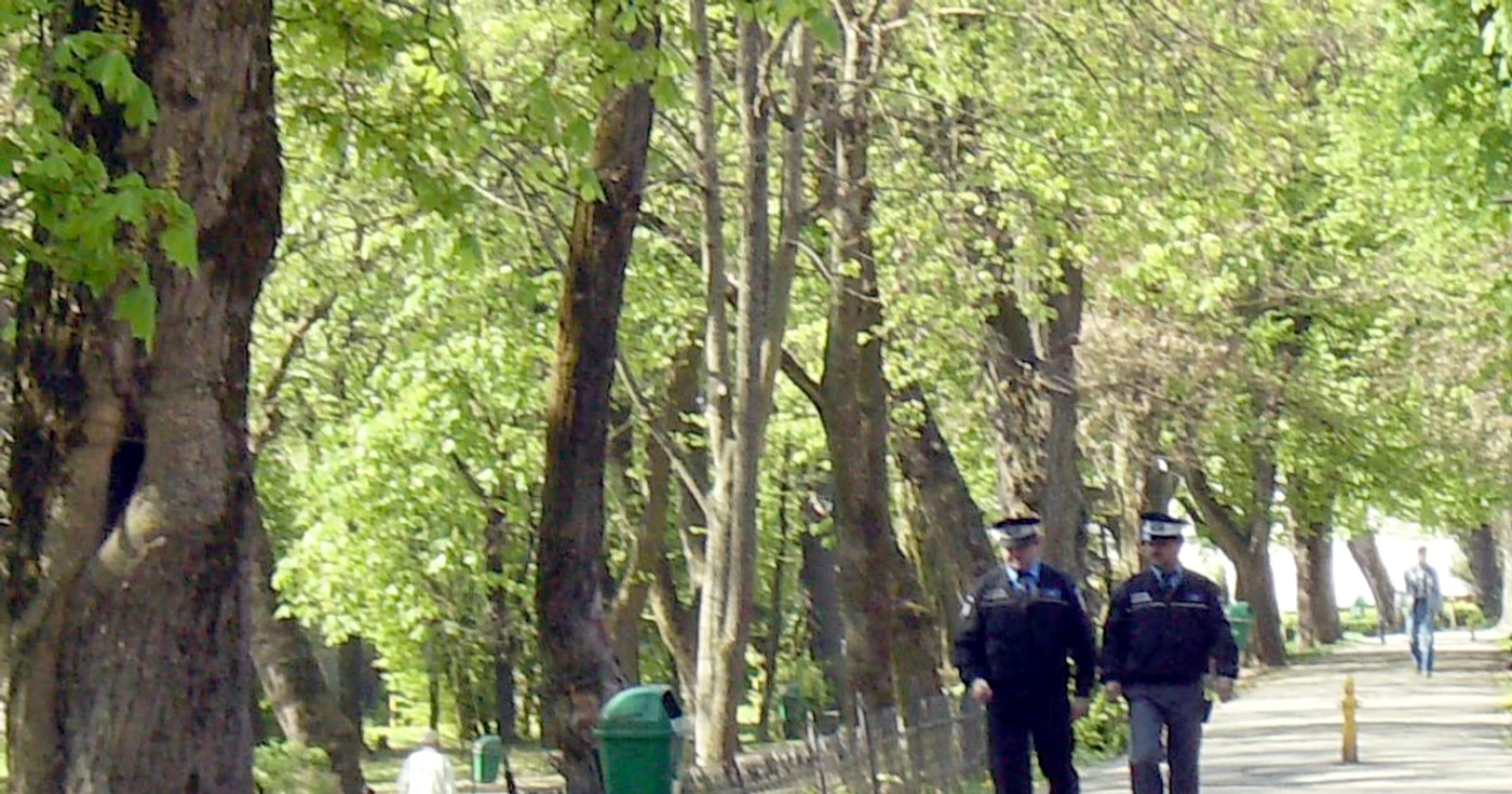 Parcul municipal  şi-a pierdut măreţia