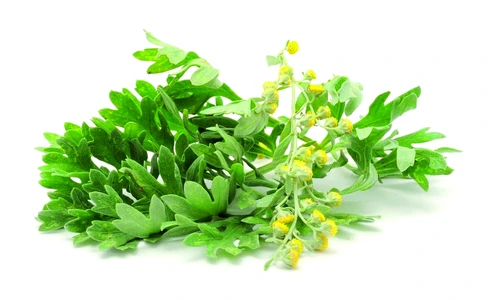 leacuri hemoroizi jpeg