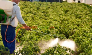 stropiri chimice jpg