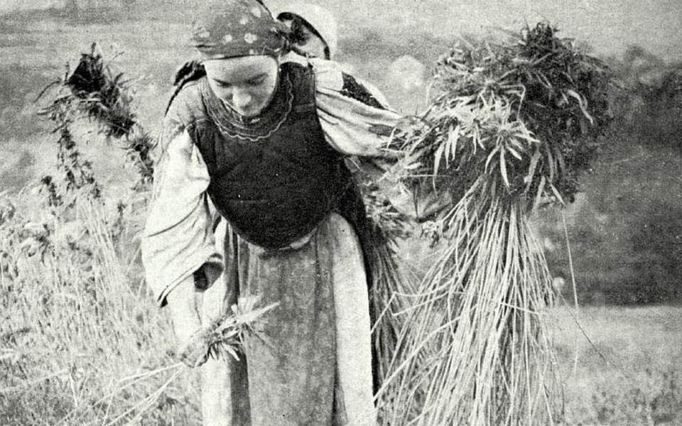 Istoric înfiorat de traiul primitiv al românilor din Ținutul Pădurenilor: „Credința lor, amintiri ale păgânismului de altădată”