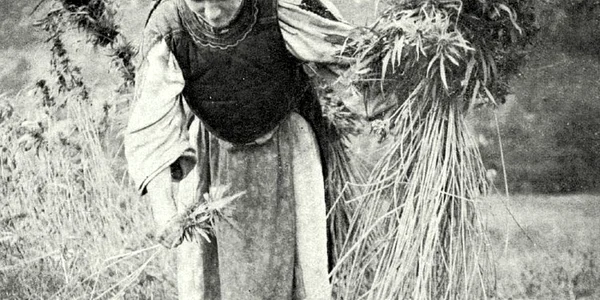tinutul padurenilor imagini vechi foto romuluis vuia portul popular al padurenilor