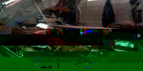 Botoşani: Carnea de porc s-a scumpit