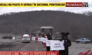 Proteste la Balc împotriva vânătorii organizate de Ion Ţiriac jpeg