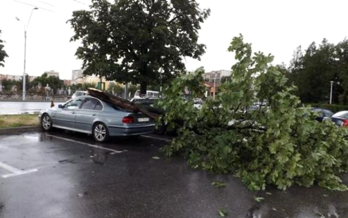 
    Avertizările sunt valabile până la ora 12.30  