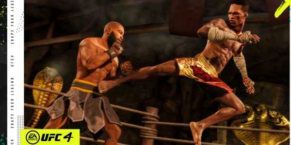 UFC 4