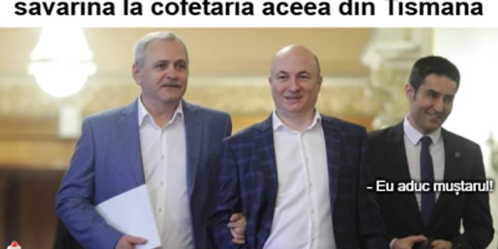 meme savarina psd