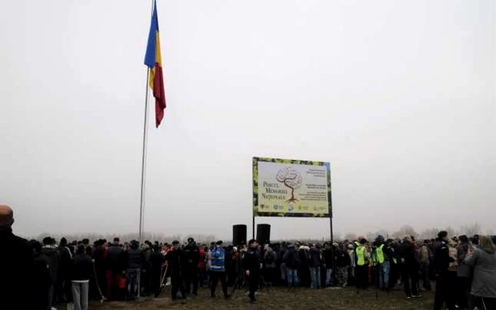 Campania de plantare a început în 2017, la Mărăşeşti FOTO: Alexandra Tătaru