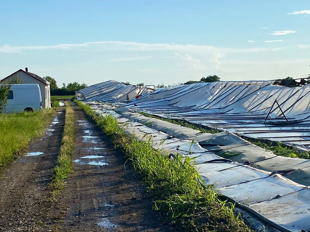 Fermierilor li s-au dărâmat solarii peste tomate al Glodeanu-Sărat FOTO: arhiva fermieri