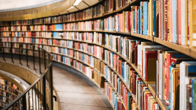 100 de intelectuali îi cer lui Sorin Cîmpeanu să regândească legile Educației 