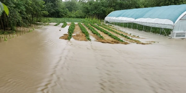 inundatii hd
