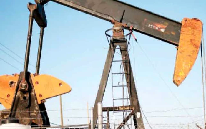 Deprecierea leului ar putea scumpi benzina cu 7% în 2010 - Revista presei economice