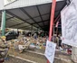 Caricaturistul Radu Clețiu în piața din Novi Sad FOTO Ștefan Both
