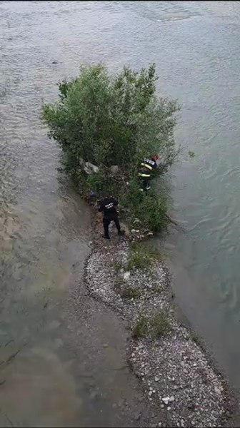 Cruzime față de animale. Câine legat și abandonat în râul Ialomița. Recompensă pentru găsirea vinovaților VIDEO