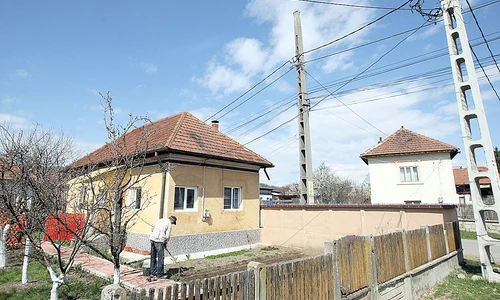 Corneliu Pârsan  e fericit că în  sfârşit a scăpat de  berzele de pe stâlpul  de lângă casă jpeg