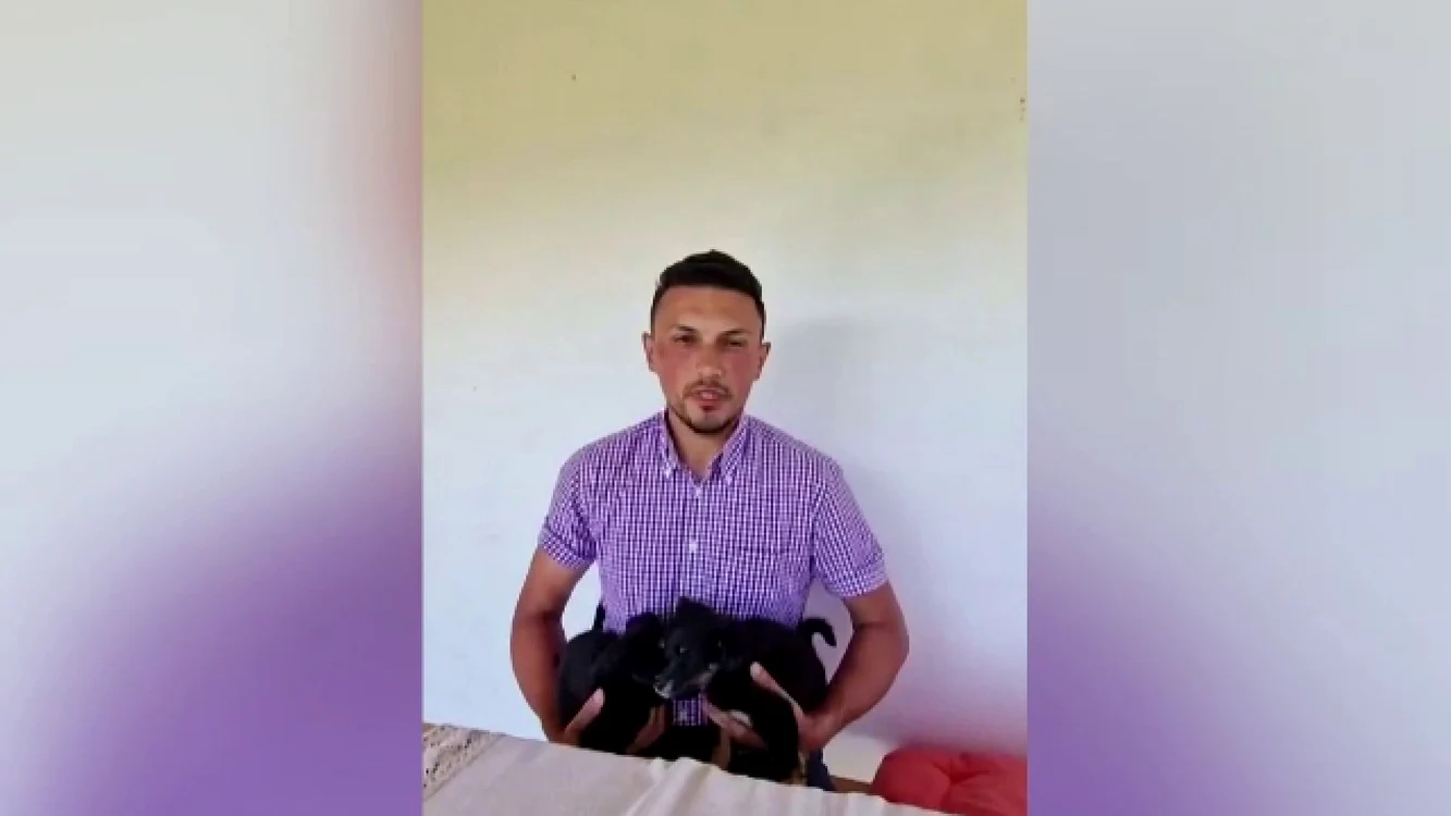 Un primar din Suceava s-a ales cu o amendă de 10.000 de lei după ce a abandonat doi pui de câine.