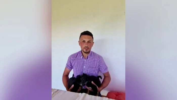 Un primar din Suceava s-a ales cu o amendă de 10.000 de lei după ce a abandonat doi pui de câine.