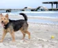 mamaia   litoral   marea neagra   lucian muntean 05 JPG