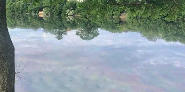 poluarea lacul baneasa 1