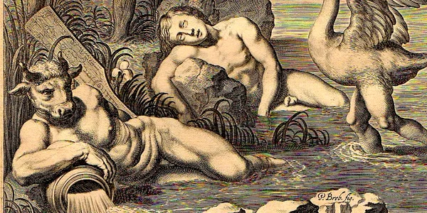metamorfoza jpg