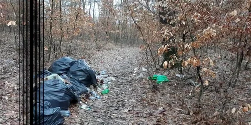 5c59b7dbdf52022f75694bc6 jpg