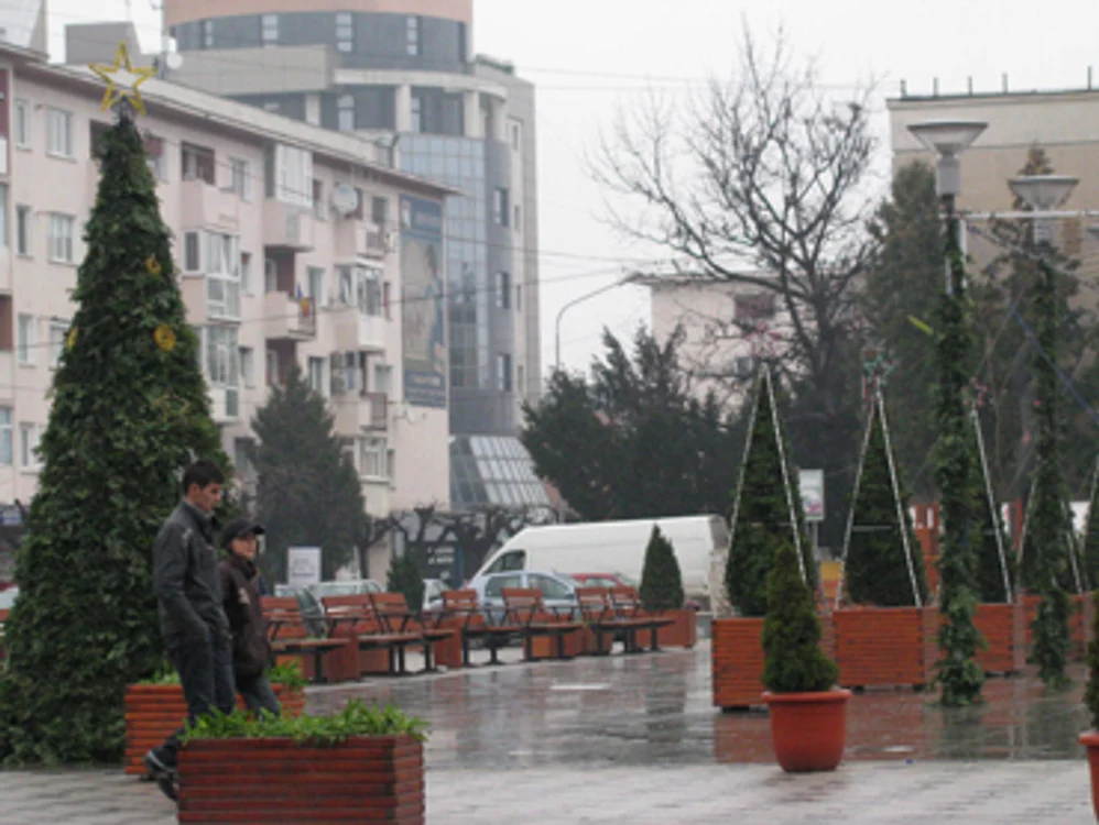 Pomul din centrul Bacăului a fost deja ornat