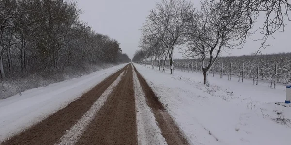 ninsoare Moldova