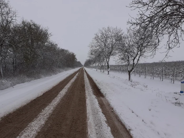 ninsoare Moldova