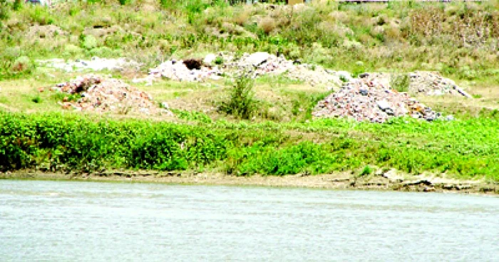 Arad: Oraşul pe scurt / S-au strâns 1.000 de saci de gunoaie