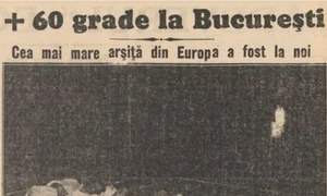 canicula din 1931 jpg