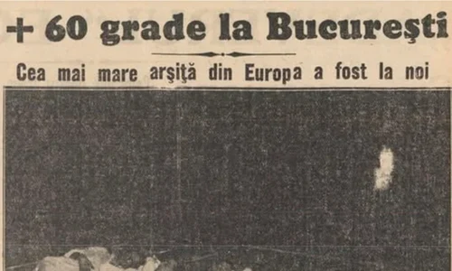 canicula din 1931 jpg