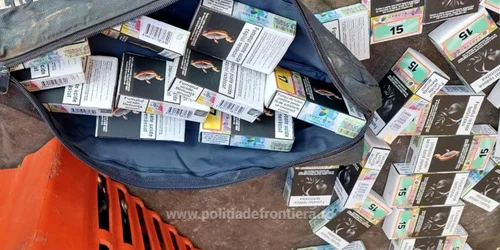 tutun de narghilea FOTO Politia de Frontiera jpg