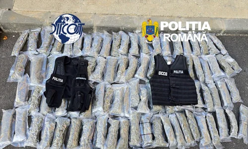 diicot a prins un bulgar care transporta canabis si cocaina foto jpg