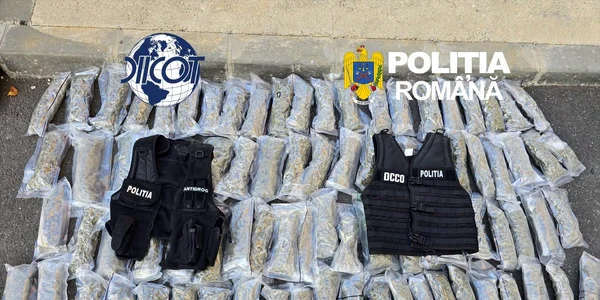 diicot a prins un bulgar care transporta canabis si cocaina foto jpg