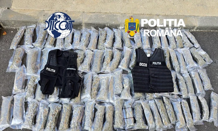 diicot a prins un bulgar care transporta canabis si cocaina foto jpg