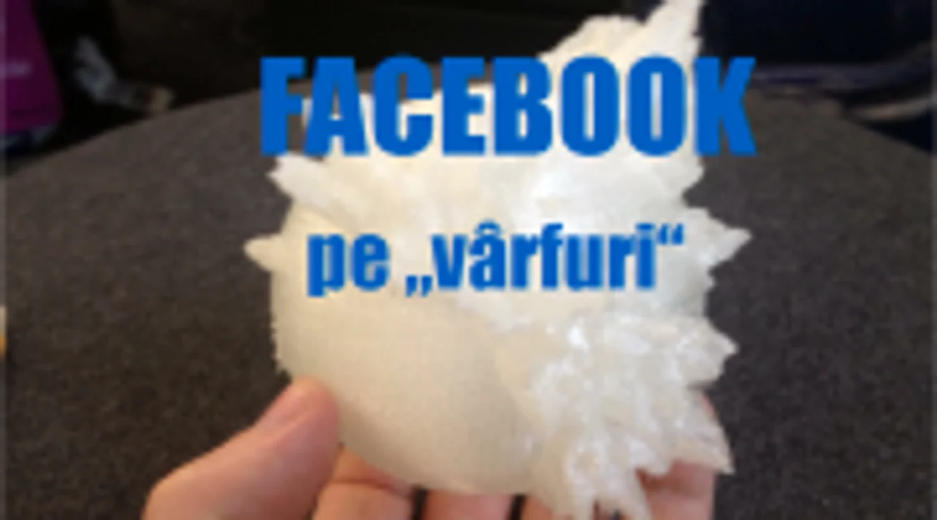 Utilizatorii Facebook şi distribuţia lor în toată lumea. FOTO Adevărul
