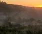 Autostrada cu tuneluri in santier  Foto Daniel Guță ADEVĂRUL (45) jpg