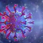 Coronavirus covid virus FOTO Shutterstock