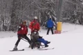 scaun shiuri 1 jpeg