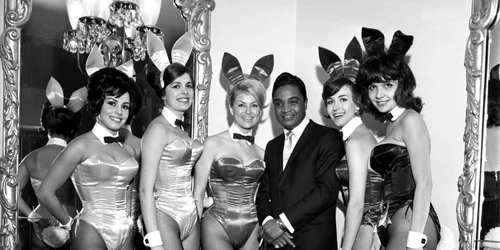 iepurasul playboy. getty