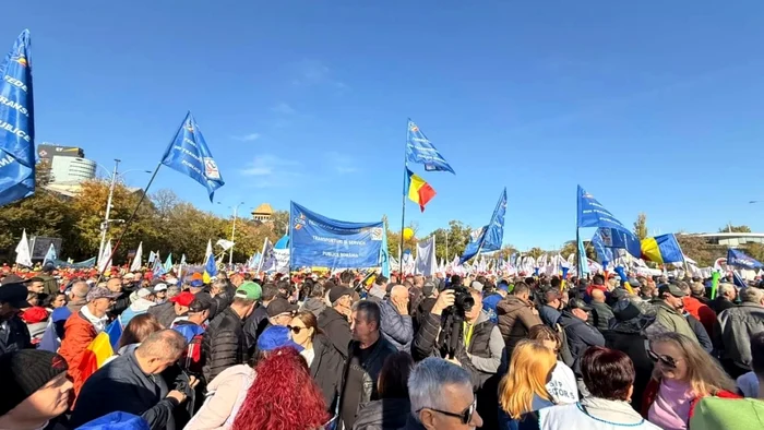 Sindicaliștii au ieșit în stradă Foto: Facebook