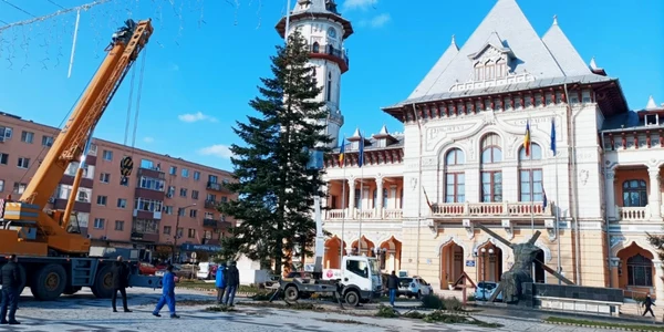 buzaubrad