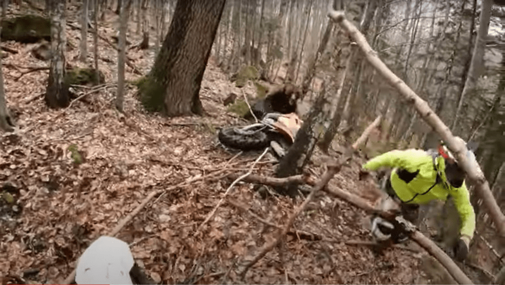 Momentul în care un motociclist enduro a fost atacat de un urs. Ce l-a salvat pe bărbat VIDEO