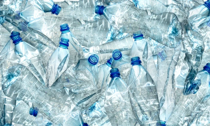 Sticle de plastic FOTO Shutterstock