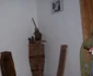 Casa din comuna Stănişeşti