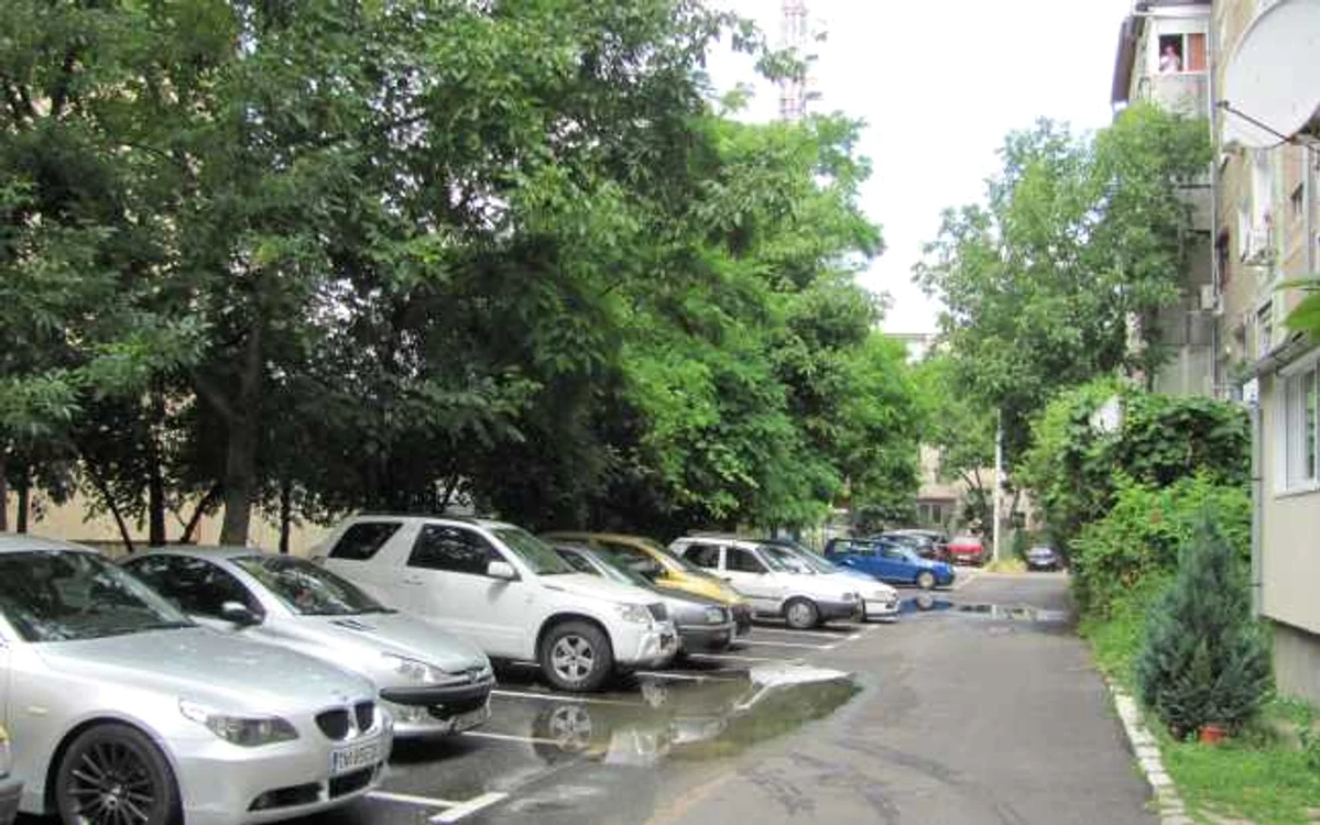 Lucrare în zona Torontalului Foto