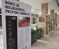 Samudaripen: Holocaustul romilor în România FOTO Ștefan both