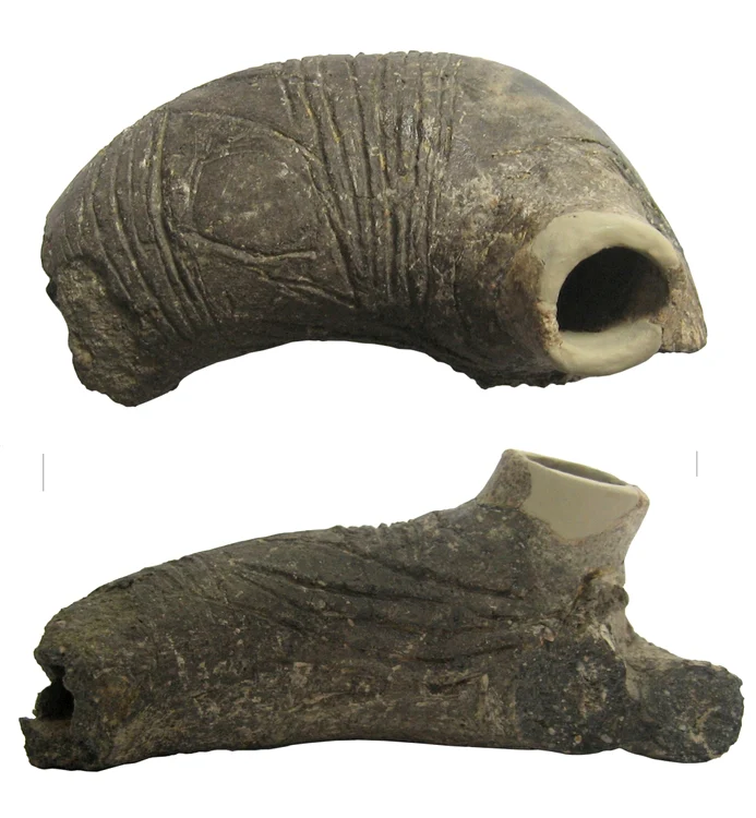 Vasul zoomorf de la Alexandria „Gorgan”