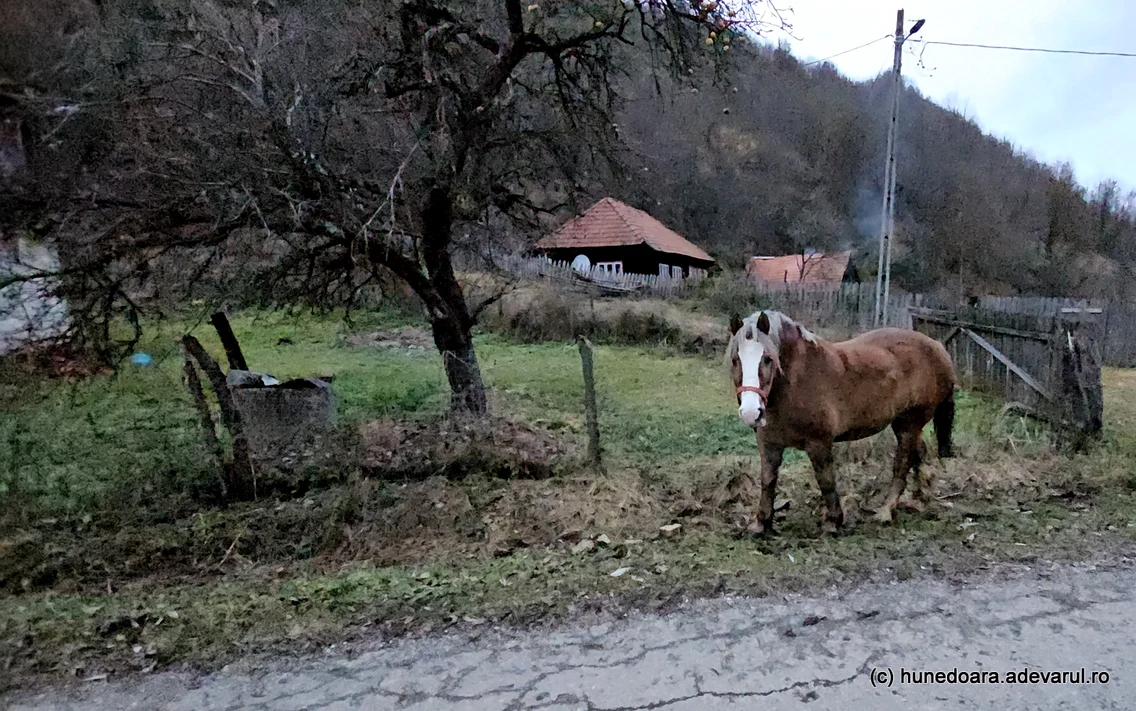 Satul Runcu Mare din Hunedoara  Foto Daniel Guță  ADEVĂRUL (106) jpg