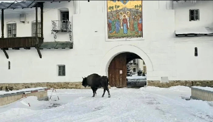 La intrarea în mănăstire FOTO Captură video Vasilică Harpa